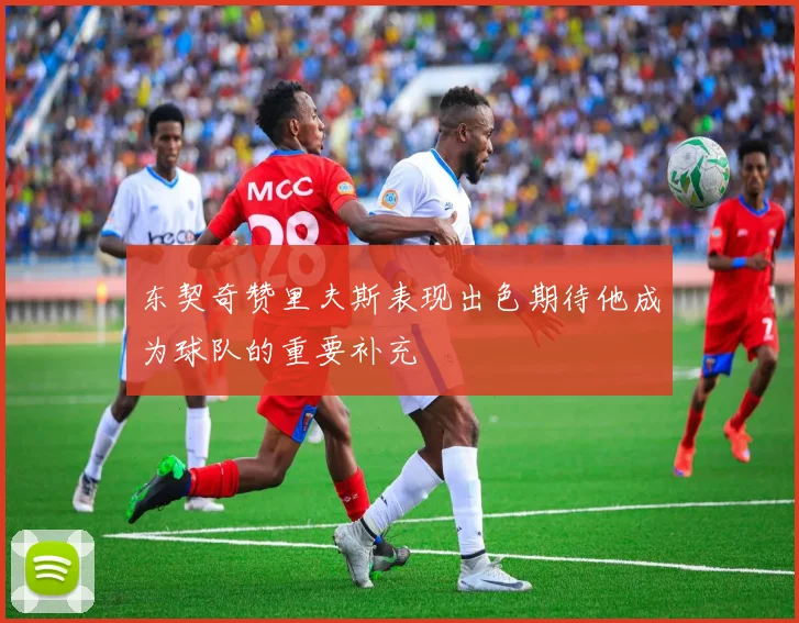 东契奇赞里夫斯表现出色期待他成为球队的重要补充